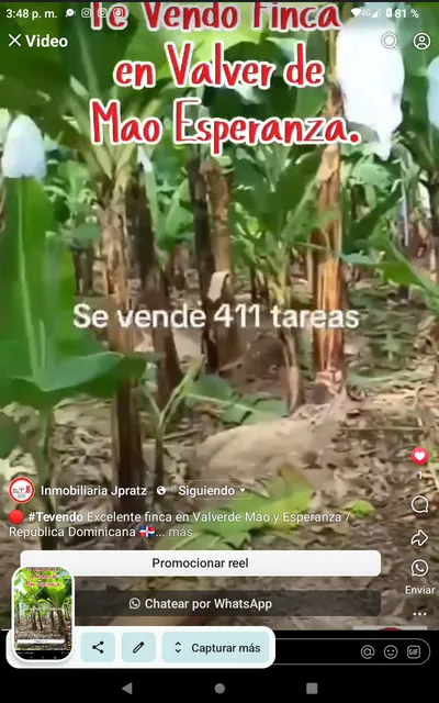 Te Vendo Finca En Valverde Mao Esperanza Rep.dom.