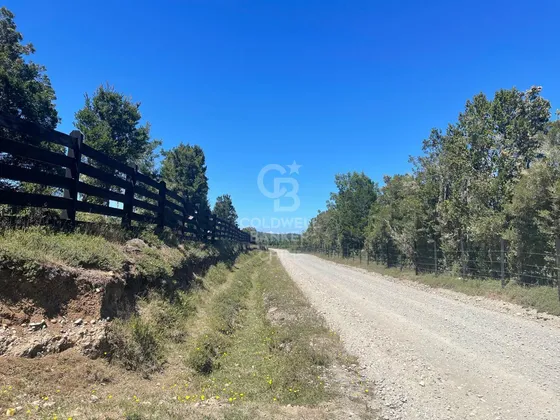Hacienda Valle Lo Castillo, Calbuco
