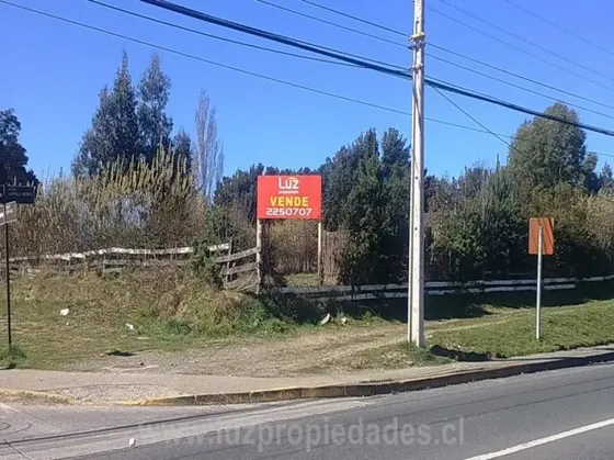 40 - Lote A N° 1, Alerce