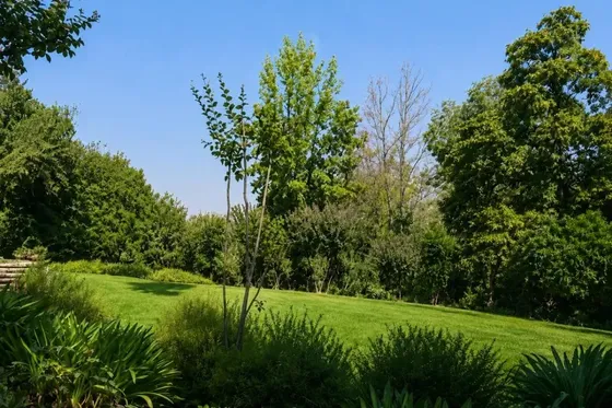 Sitio En Calle Tranquila, Plano Y Norte