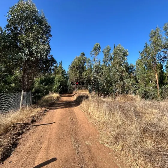 Se Vende Campo En Trehuaco 
