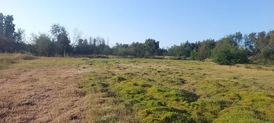 Parcela De Agrado