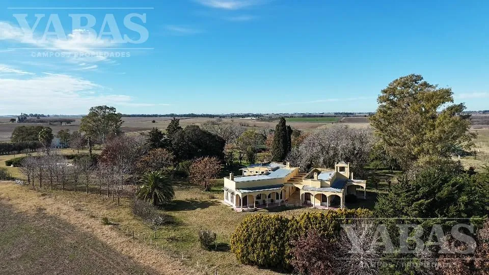 For Sale - 90 Hectares - Exclusive Stud Farm - Arrecifes Area