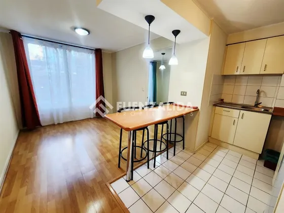 Venta Departamento Santiago 28mt2 1d+e+b Metro Irarrazaval