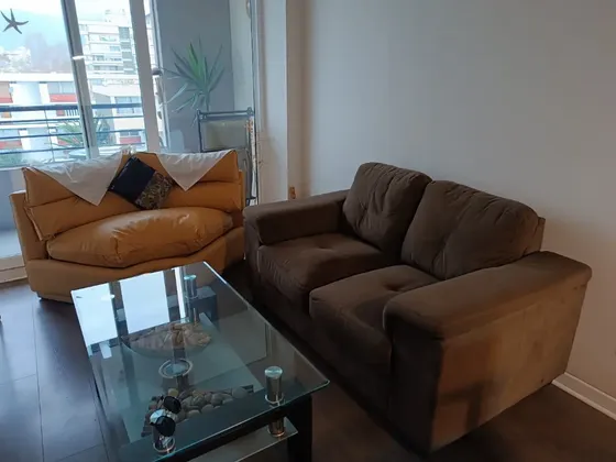 Exclusivo Depto , 2 Dormitorio Con Terraza, 2 Baños, Livin