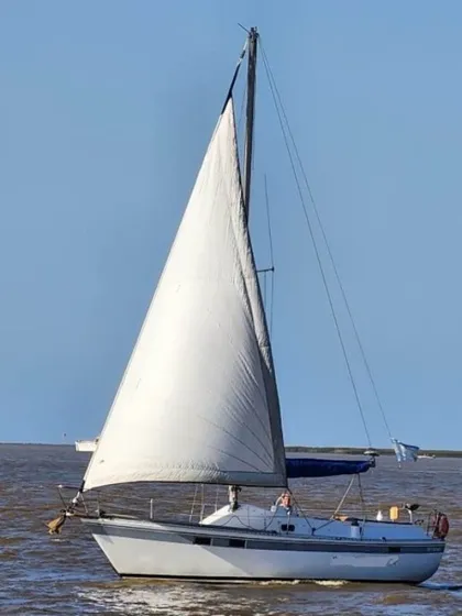 Motovelero Repunte 88