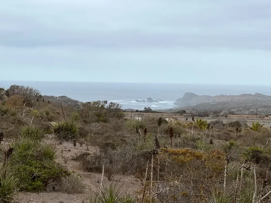 Rocas Del Mar A Solo 1h30 De Santiago, ¡y A Precio Especial