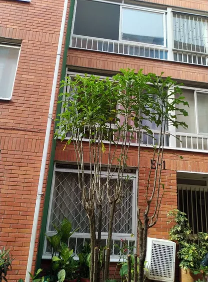 Gangazo!! Ibagué 
