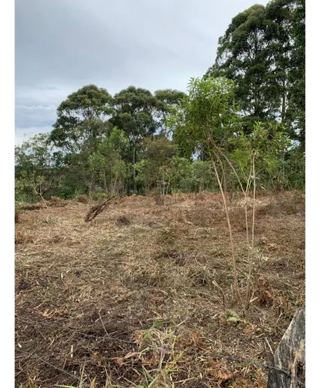 Venta De Lote En Rionegro