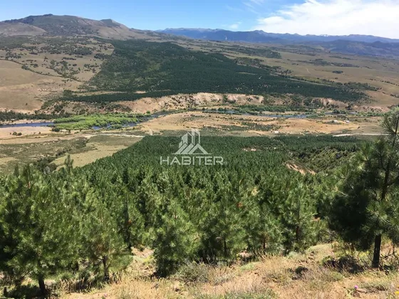 Agrícola En Venta En Liucura, Forestal Y Parcelación 213 Ha