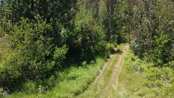 Parcelas En Venta Camino Real, A Solo 16 Km De Osorno