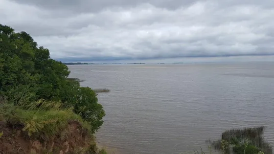 Campo En Colonia Del Sacramento - Tm1302928