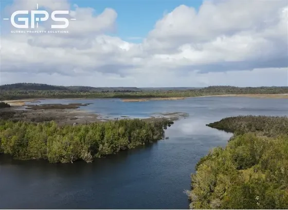 Venta Ancud 200 Há