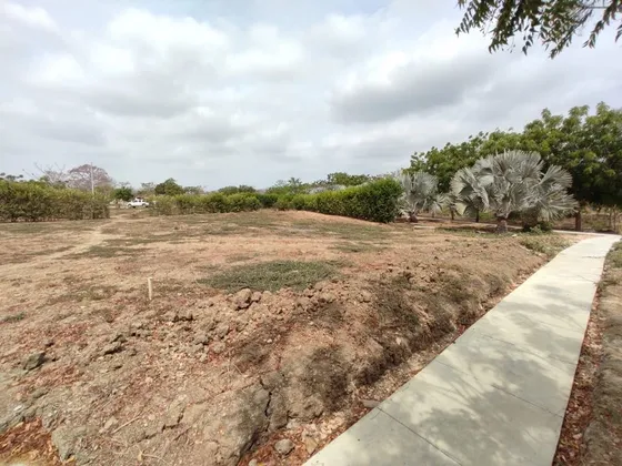 Venta Lote En Cesión Para Construir En Zona Norte Brisas De Cartagena