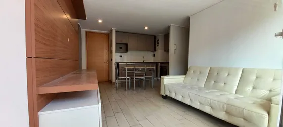 Acogedor Departamento (101027)