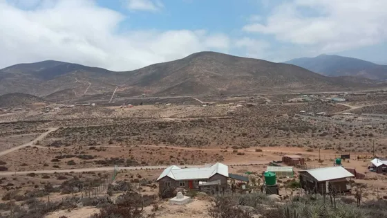 Punta Teatinos (99943)