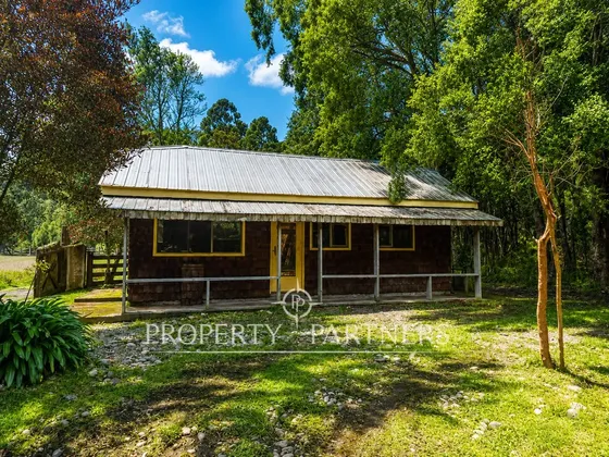 Arriendo Cabaña Amoblada Con Bosque Nativo Y Salid...