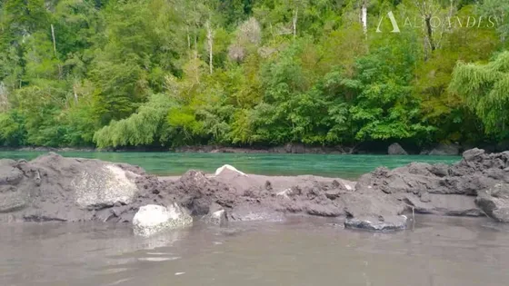 Sitio En Venta En Puerto Varas