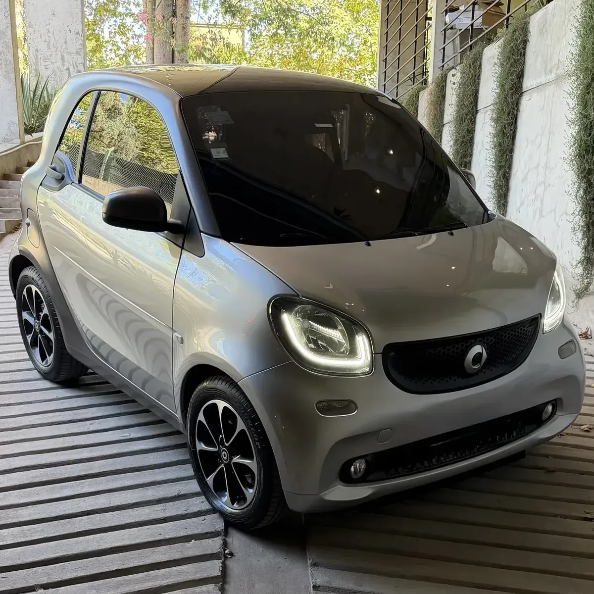 Smart Play 1.0 Play