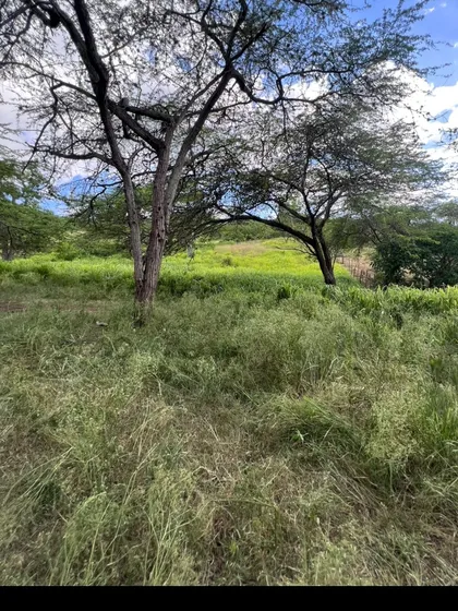 Vendo Finca Ganadera En San José De Las Matas 