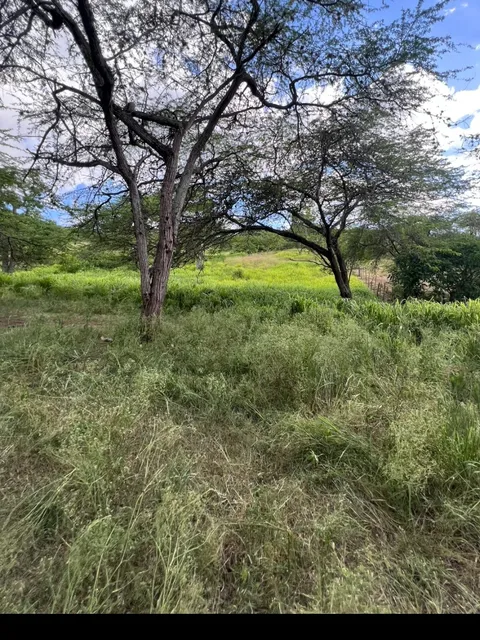 Vendo Finca Ganadera En San José De Las Matas 