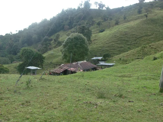 Vendo Finca Rural En El Tolima