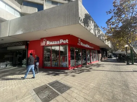 Arriendo Local Comercial Pedro De Valdivia 27 Providencia