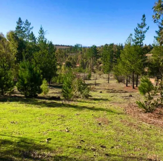 Parcelas En Cauquenes Con Crédito Directo Y Descuentos