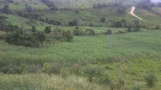 Lote Vereda El Tablón (togui) Límites Con Moniquirá