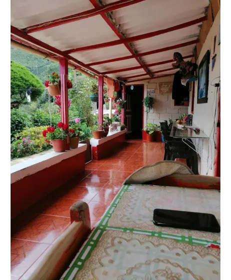 Venta Finca En Concordia, Vereda Burgos