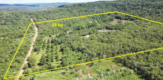 Se Vende Chacra De 25 Ha Con 2 Casas, Perforación, Laguna, Galpon Y   En Cerro Corá