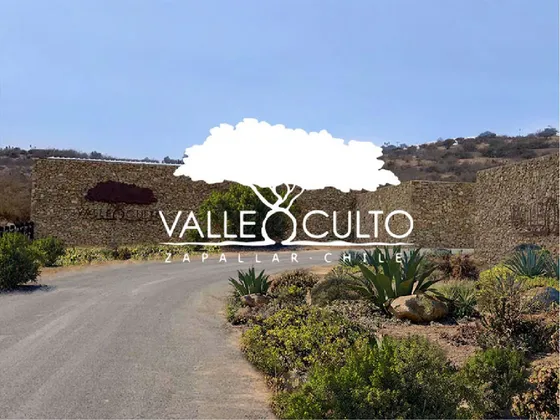 Proyecto Terrenos 3 Has En Venta - Catapílco, Zapallar