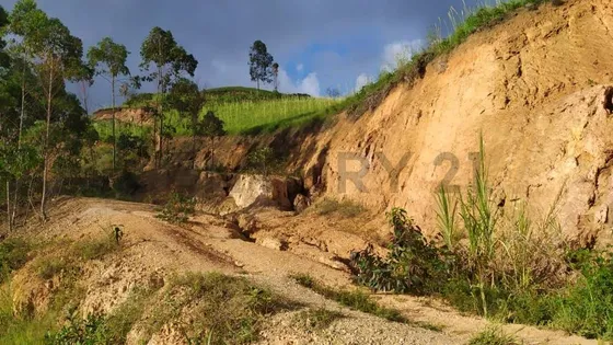Terreno 11.000 M2 Sector Merida Colinas De Carrizal