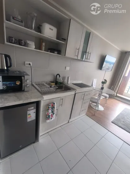 Departamento En Arriendo De 1 Dorm. En Concepción