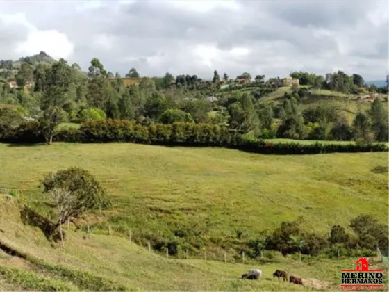 Terreno En Venta En Vereda Rancherías. Cod V4216