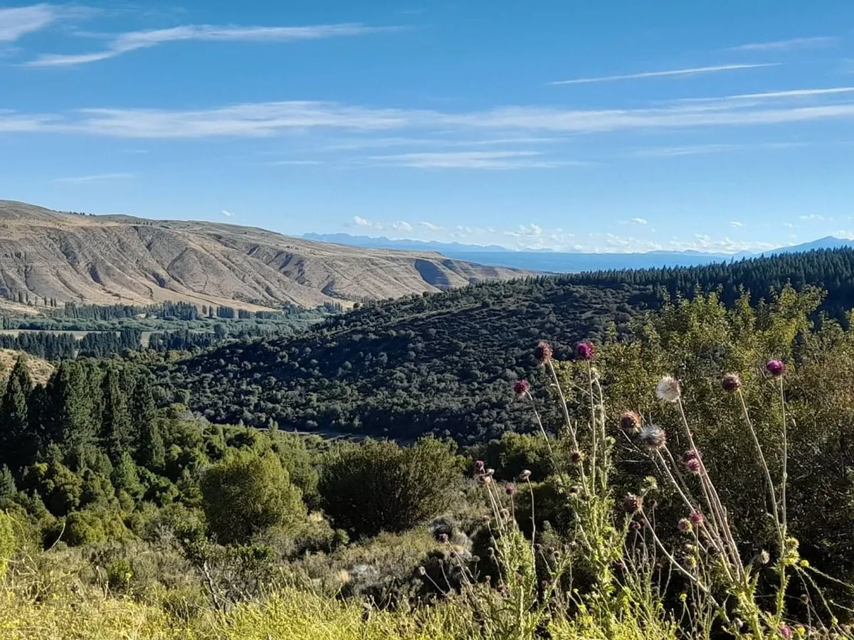 Land in Esquel