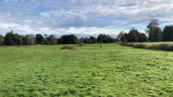 Parcela En Venta En Puyehue