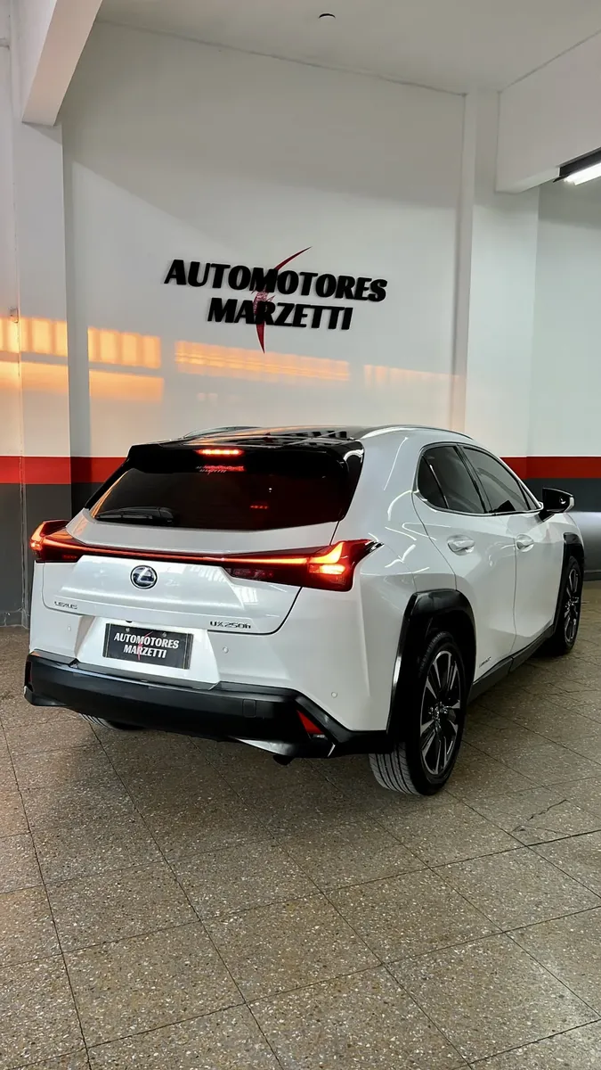 Lexus Ux 250h Dynamic5549610161628979216
