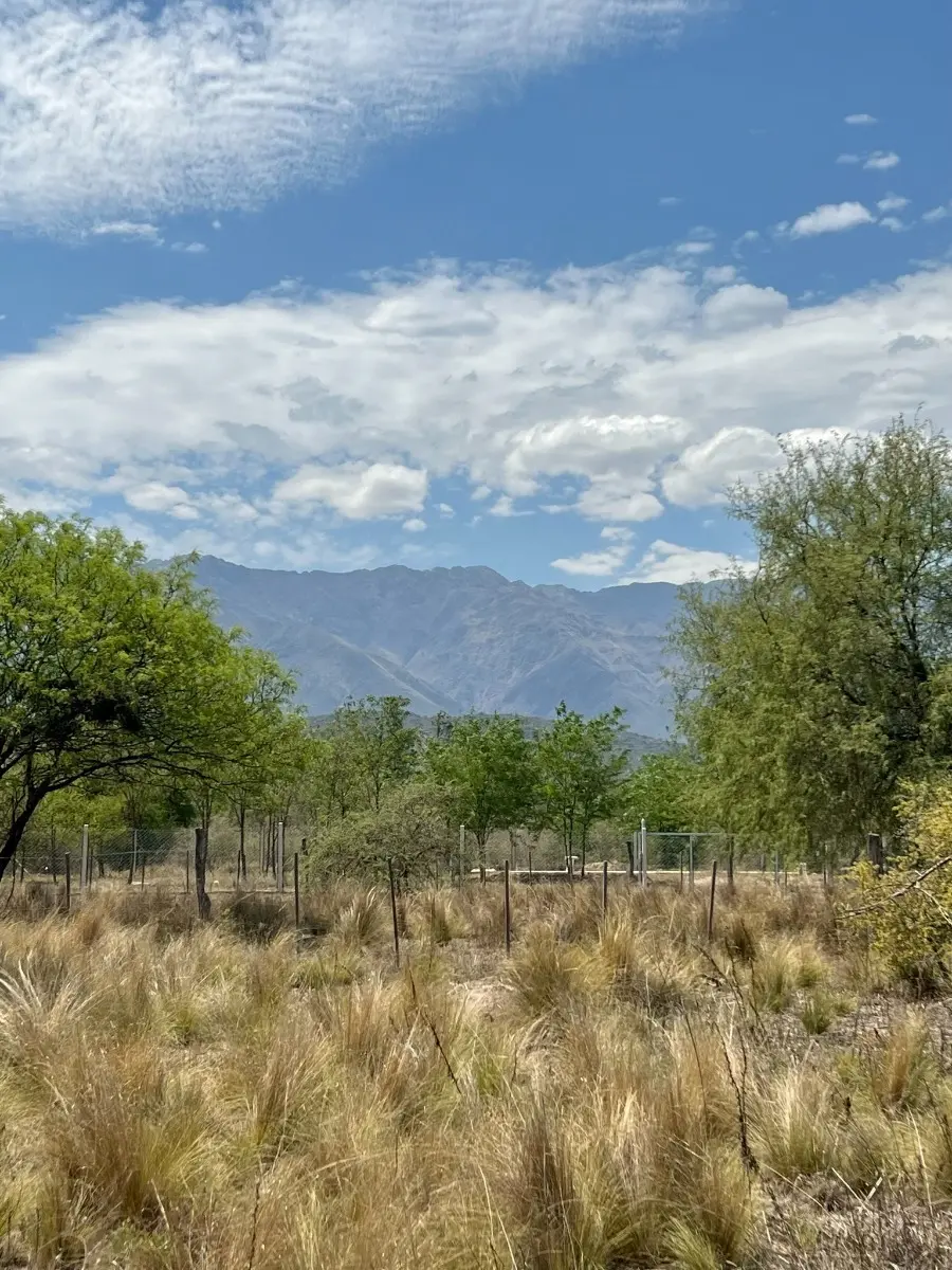 838 m² Lot with Title Deed in Quebrada de Los Pozos / Villa de Las Rosas – Traslasierra