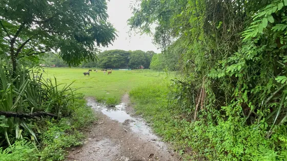 Terreno Con Lago Edificación Y 38 Mil Metros Haina Nigua 