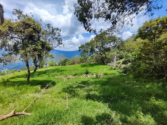 Lote En Copacabana Vereda El  Zarzal 