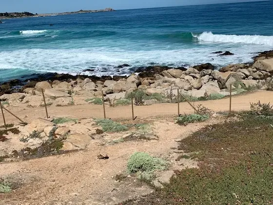 Excelentes Sitios En Primera Linea Frente Al Mar