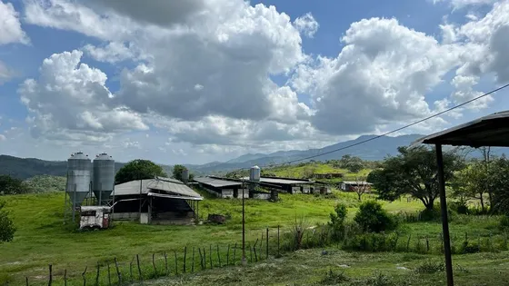 En Venta Finca Agropecuaria En Guigue Carabobo Af
