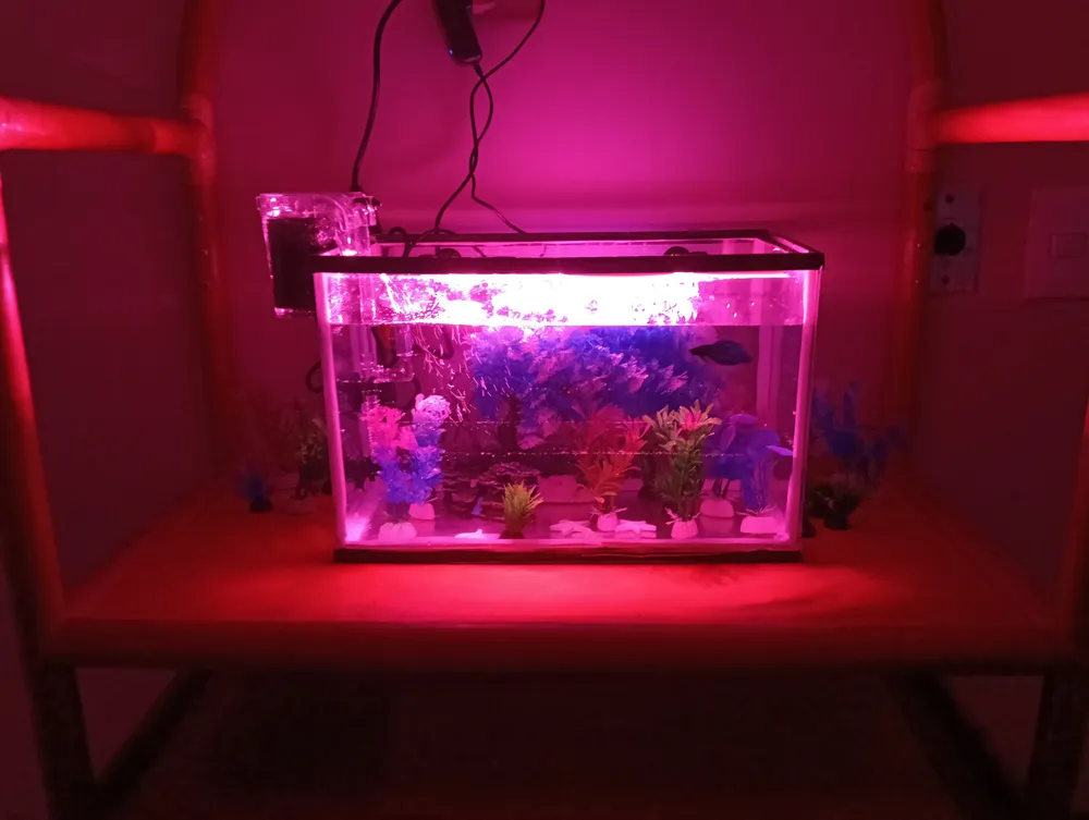 Foto del producto compartida por el comprador 5 de 8