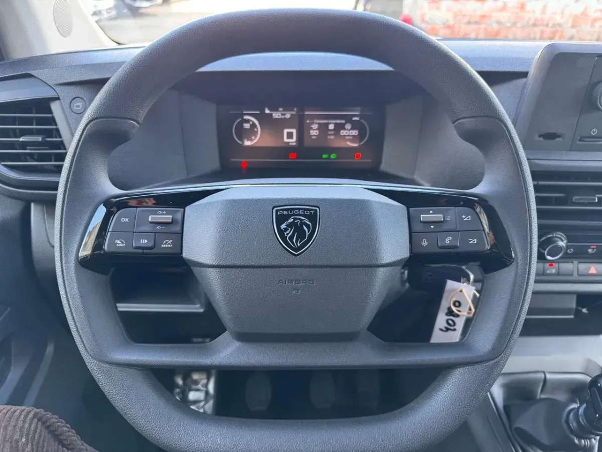 Miniatura 10