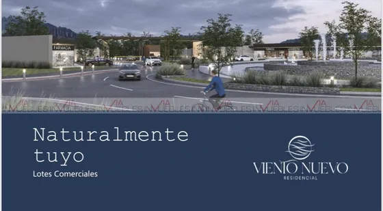 Viento Nuevo