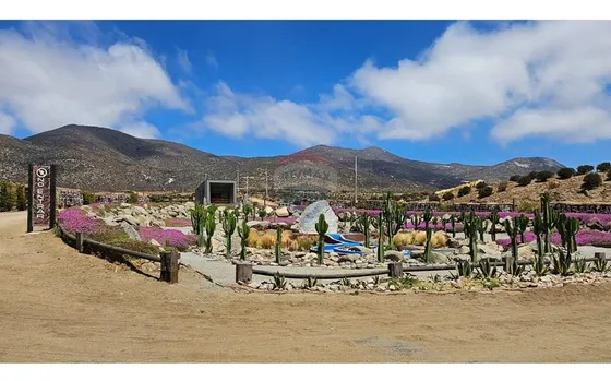 Terreno Amplio
