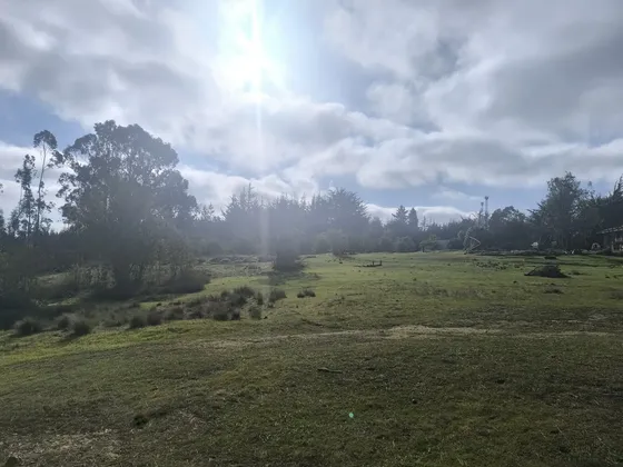 Maravillosa Propiedad En El Totoral , Algarrobo, Para Proyec