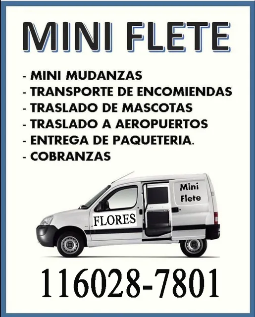 Minifletes