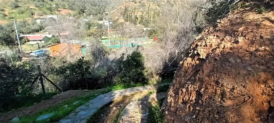 Venta De Terreno Con Bosque Nativo De 6,5 Há, En Olmué. 200